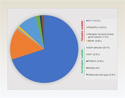 Molecular characteristics and immune microenvironment of gastrointestinal stromal tumours: targets for therapeutic strategies